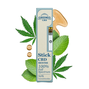 STICK CBD MENTHE