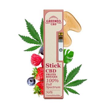 STICK CBD FRUITS ROUGES