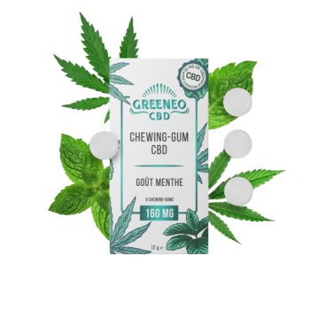 CHEWING GUM CBD MENTHE